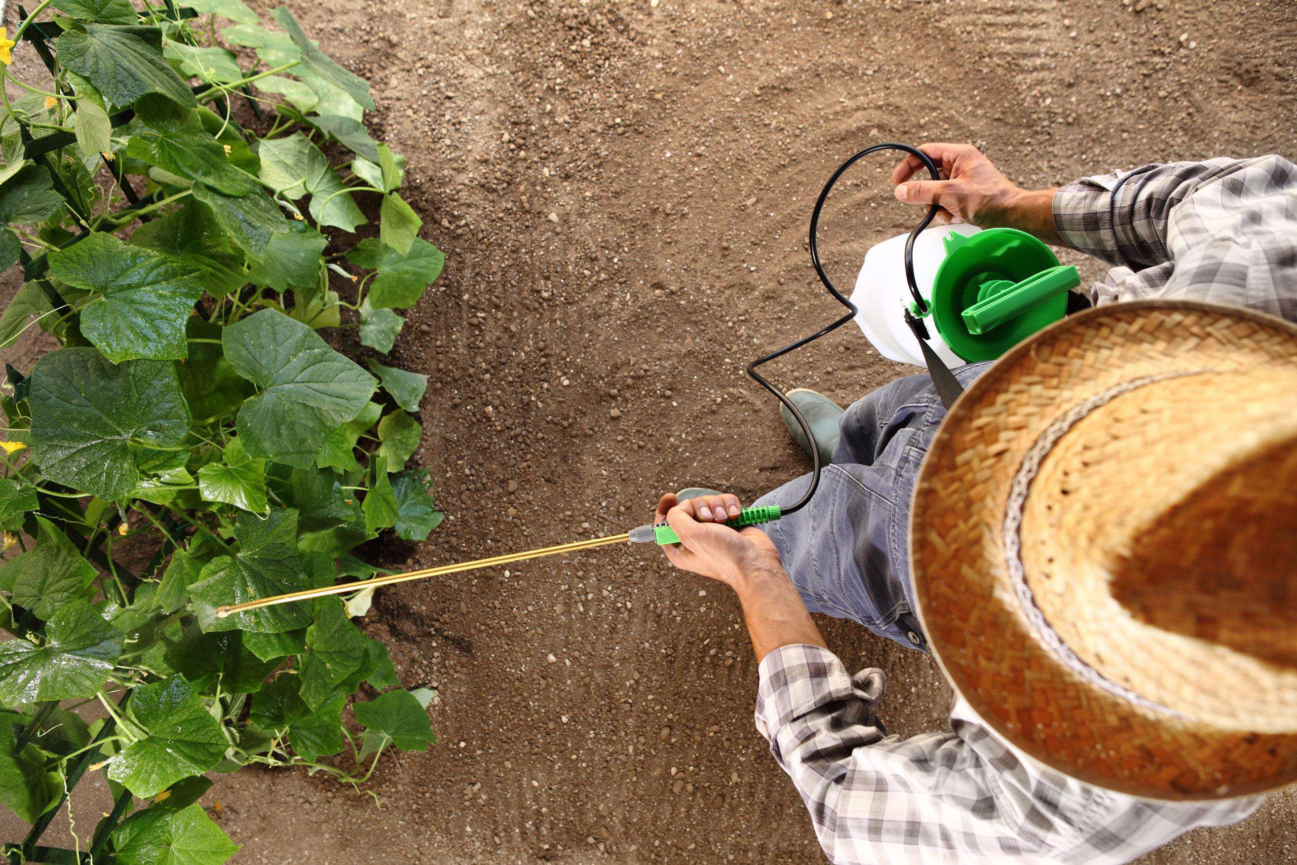 The Disturbing History of Roundup’s Rise and Fall