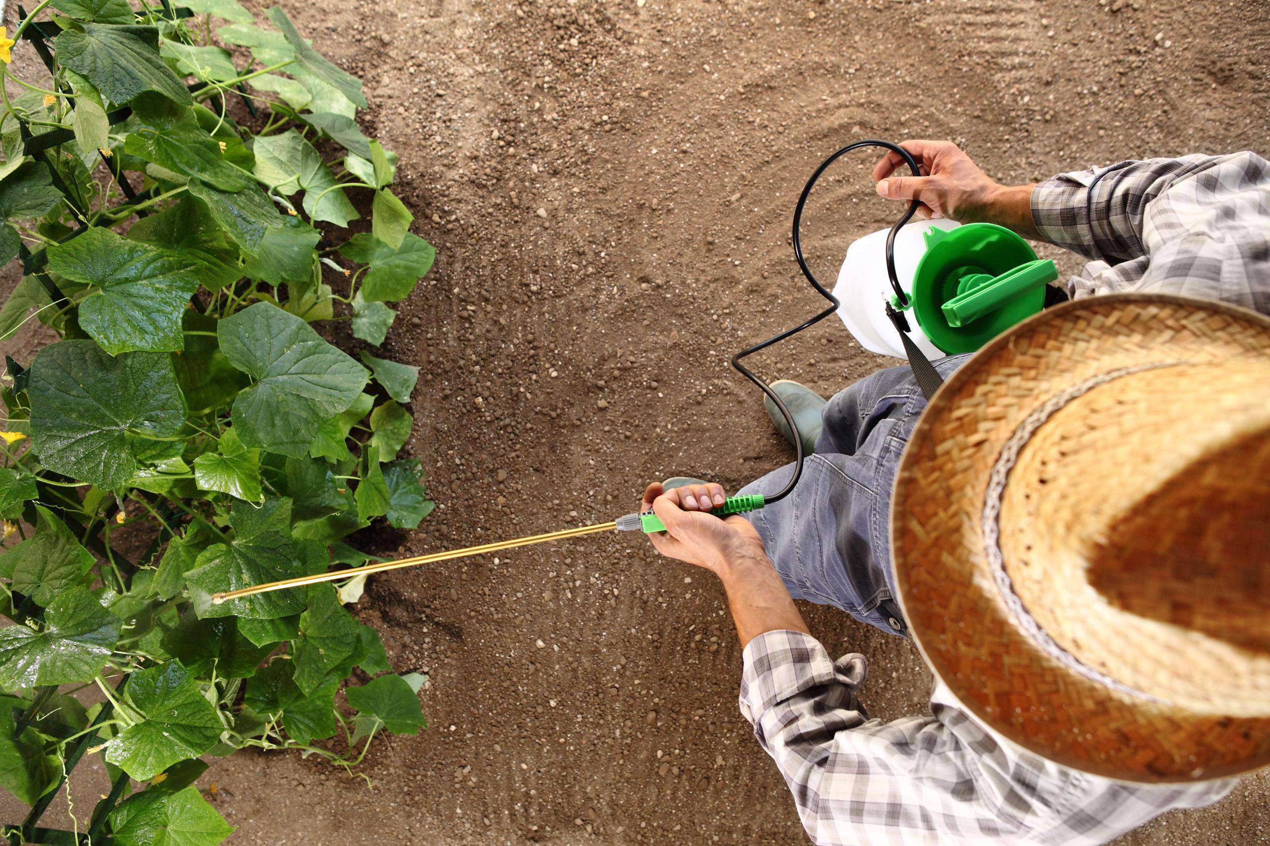 The disturbing history of roundup’s rise and fall