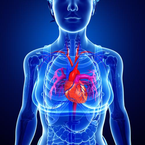 pleural mesothelioma removal