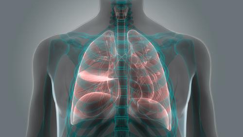 How Much Is the Average Mesothelioma Settlement?