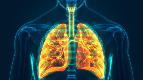 Can a lung transplant cure lung cancer?