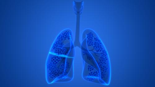 Is mesothelioma a type of lung cancer?