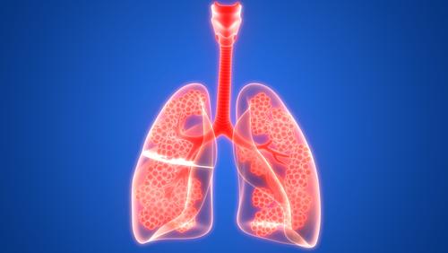 What Causes Pleural Cancer