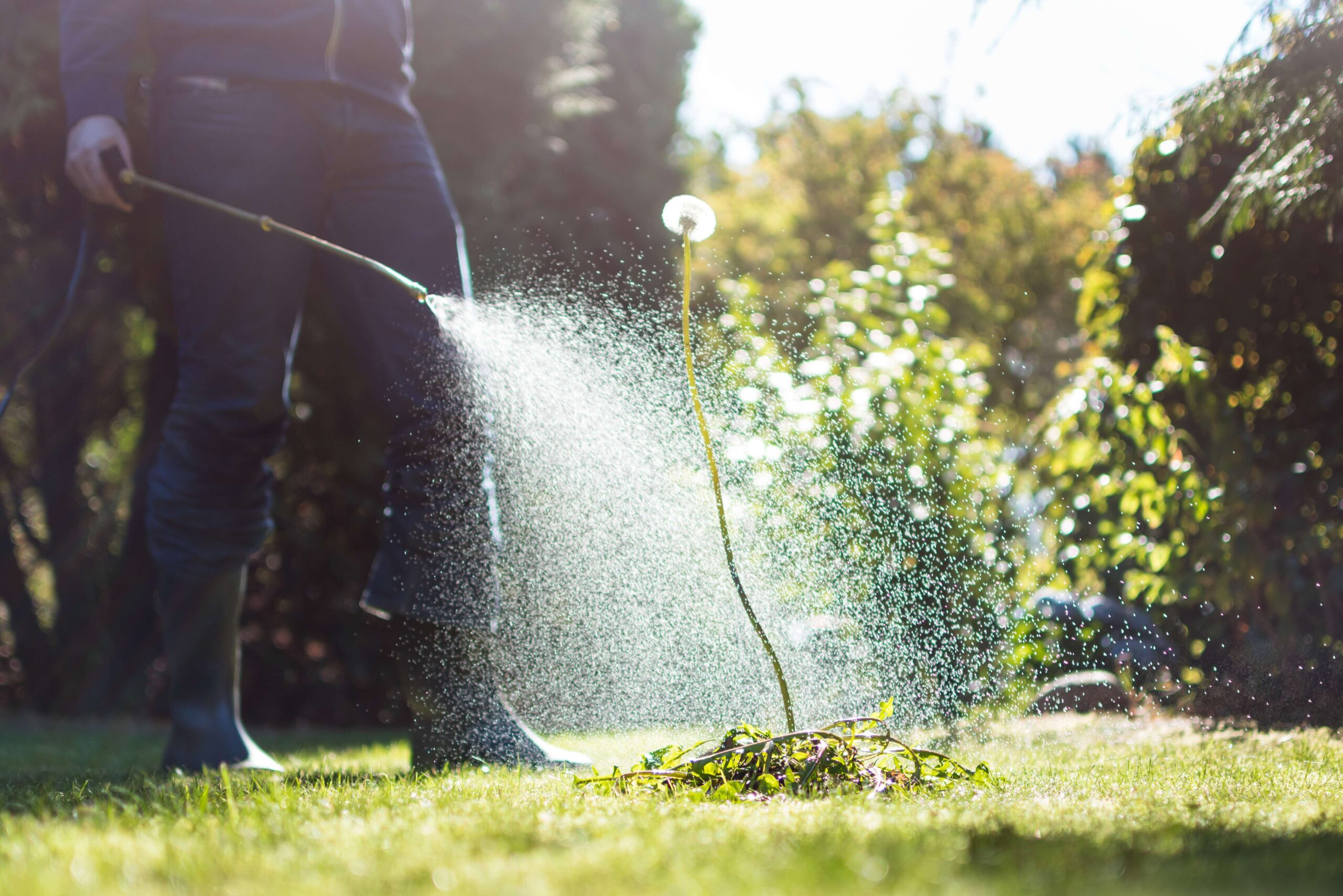 Does Roundup Still Have Glyphosate in It?