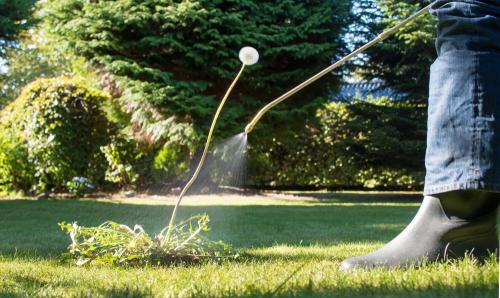 How Do You Protect Yourself from Glyphosate?