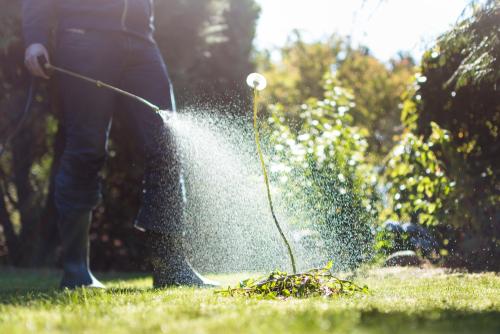 Are Glyphosate and Roundup the Same Thing?