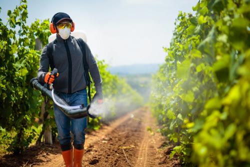 Should You Wear a Mask When Spraying Roundup?