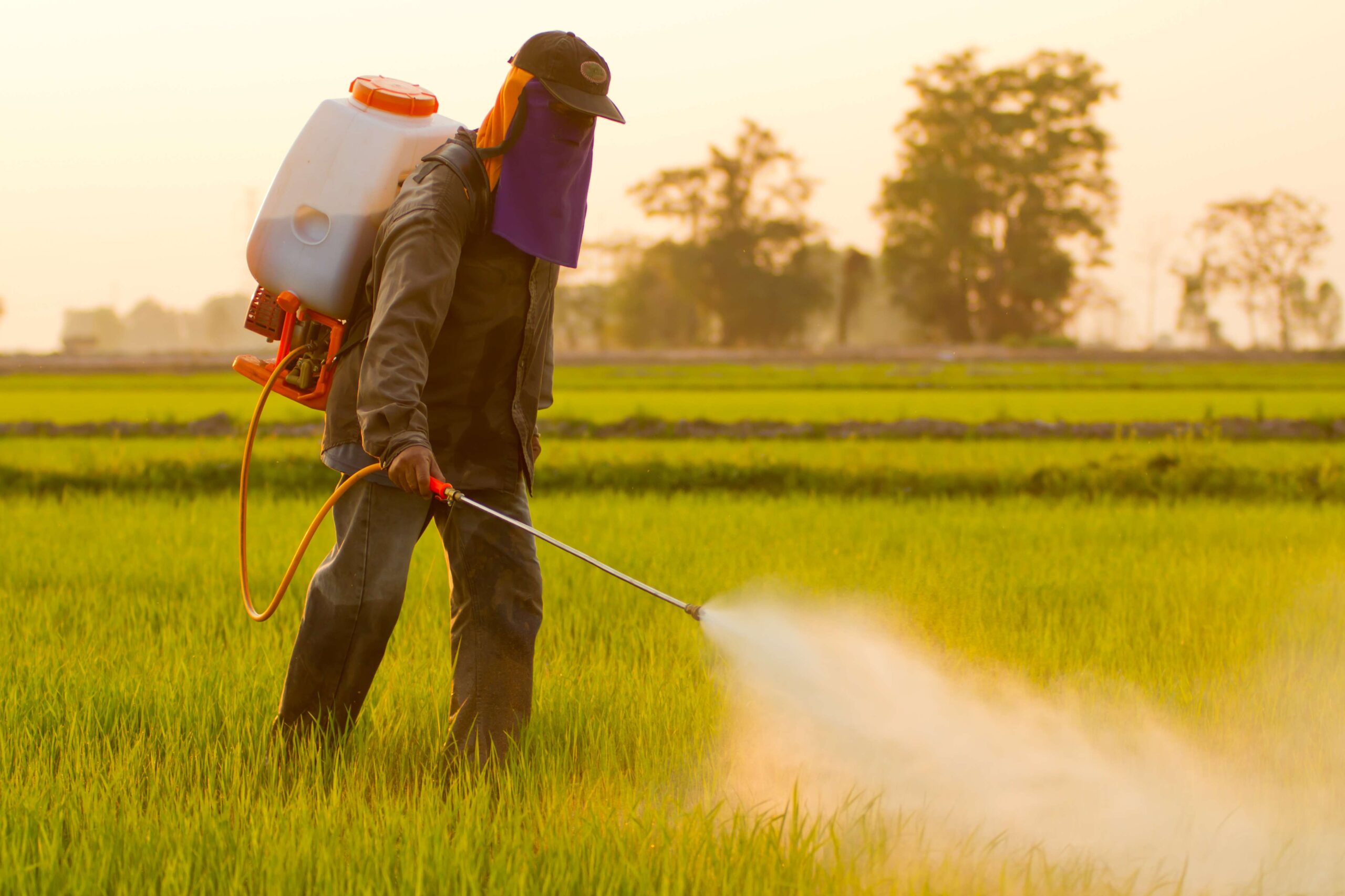 What Symptoms Might You Expect in Cases of Pesticide Toxicity?