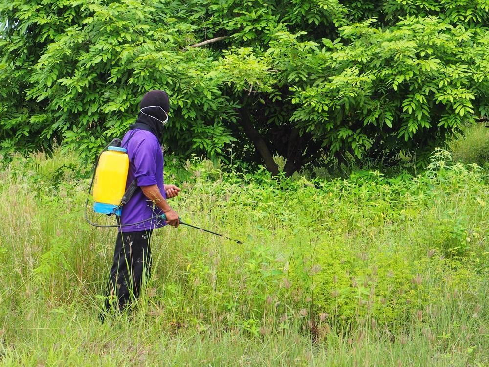 Is Roundup Safe for Home Use