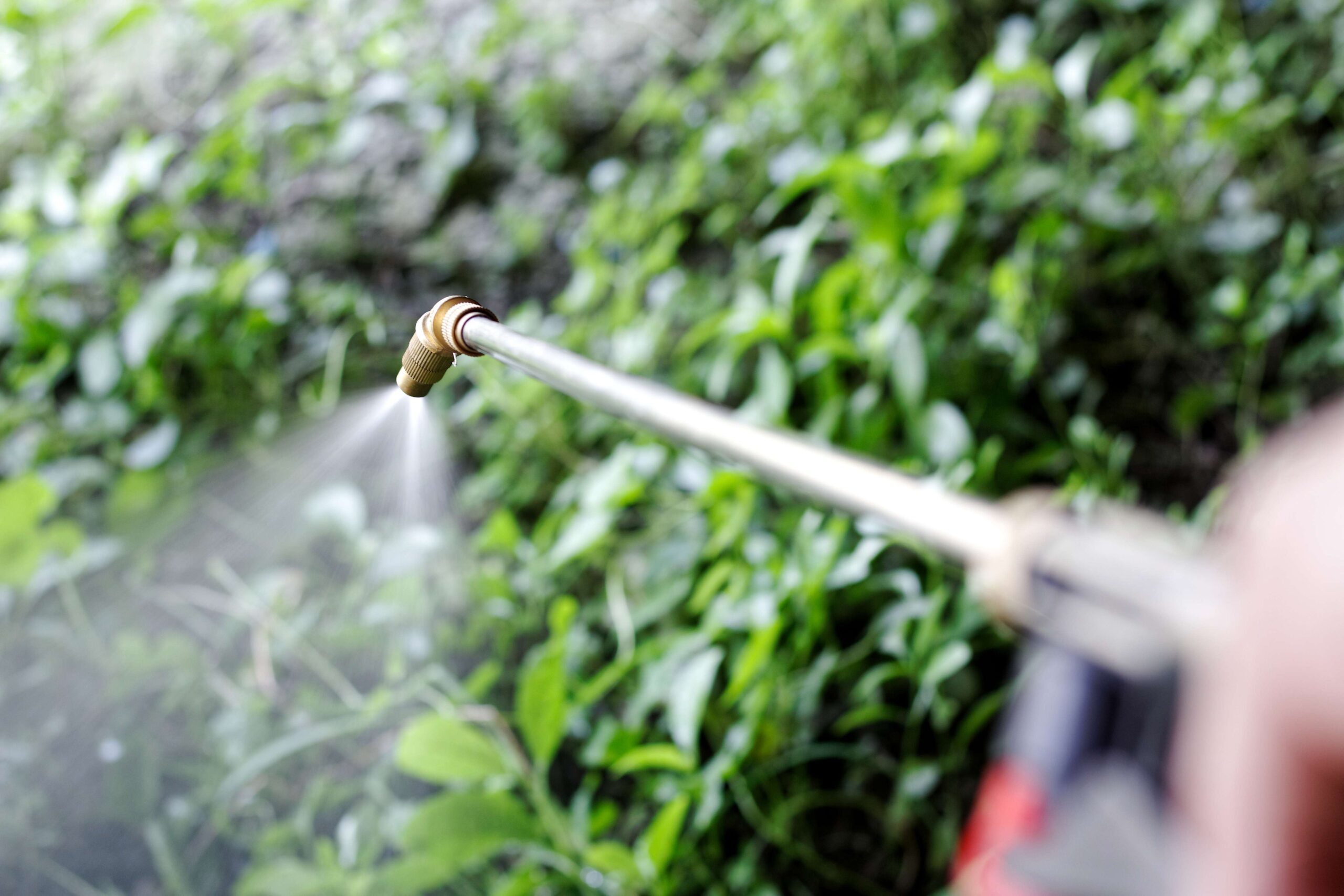 What is the safest herbicide?