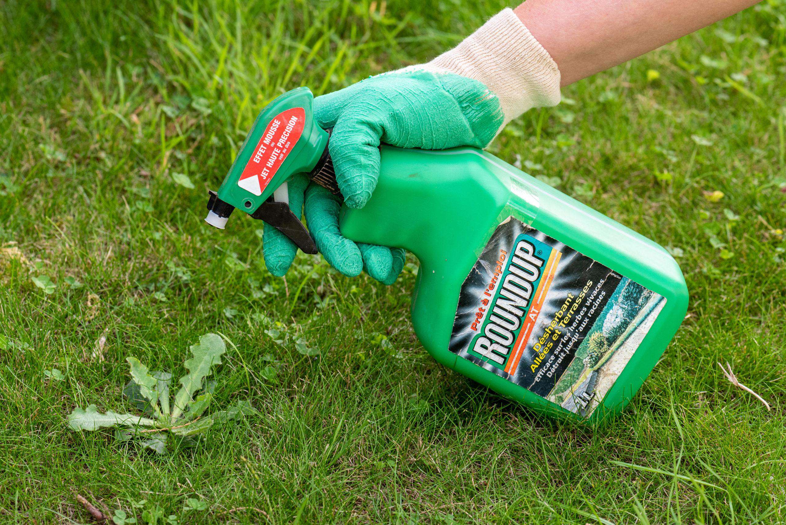 can roundup be absorbed through skin