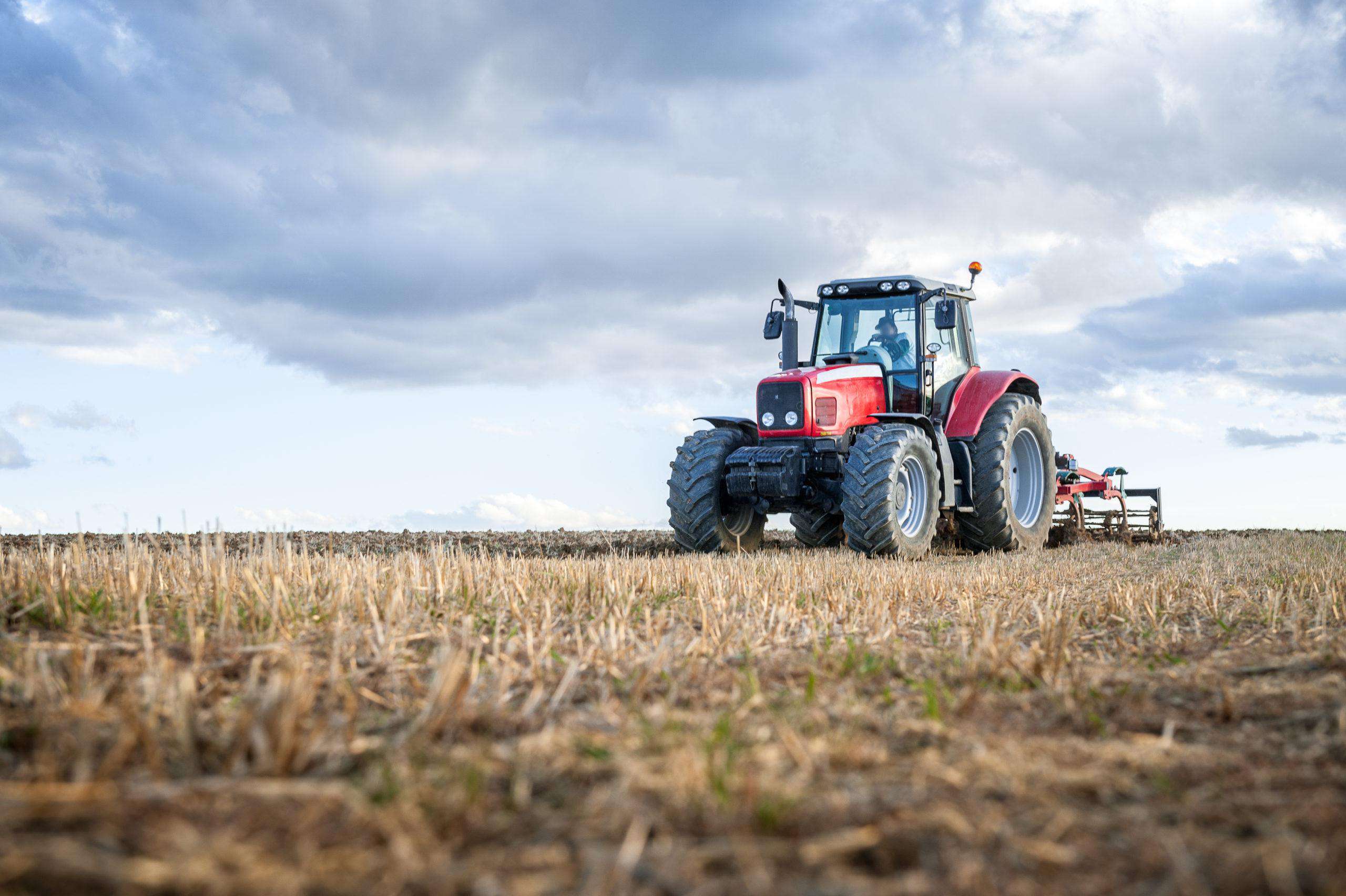 how long until roundup is safe