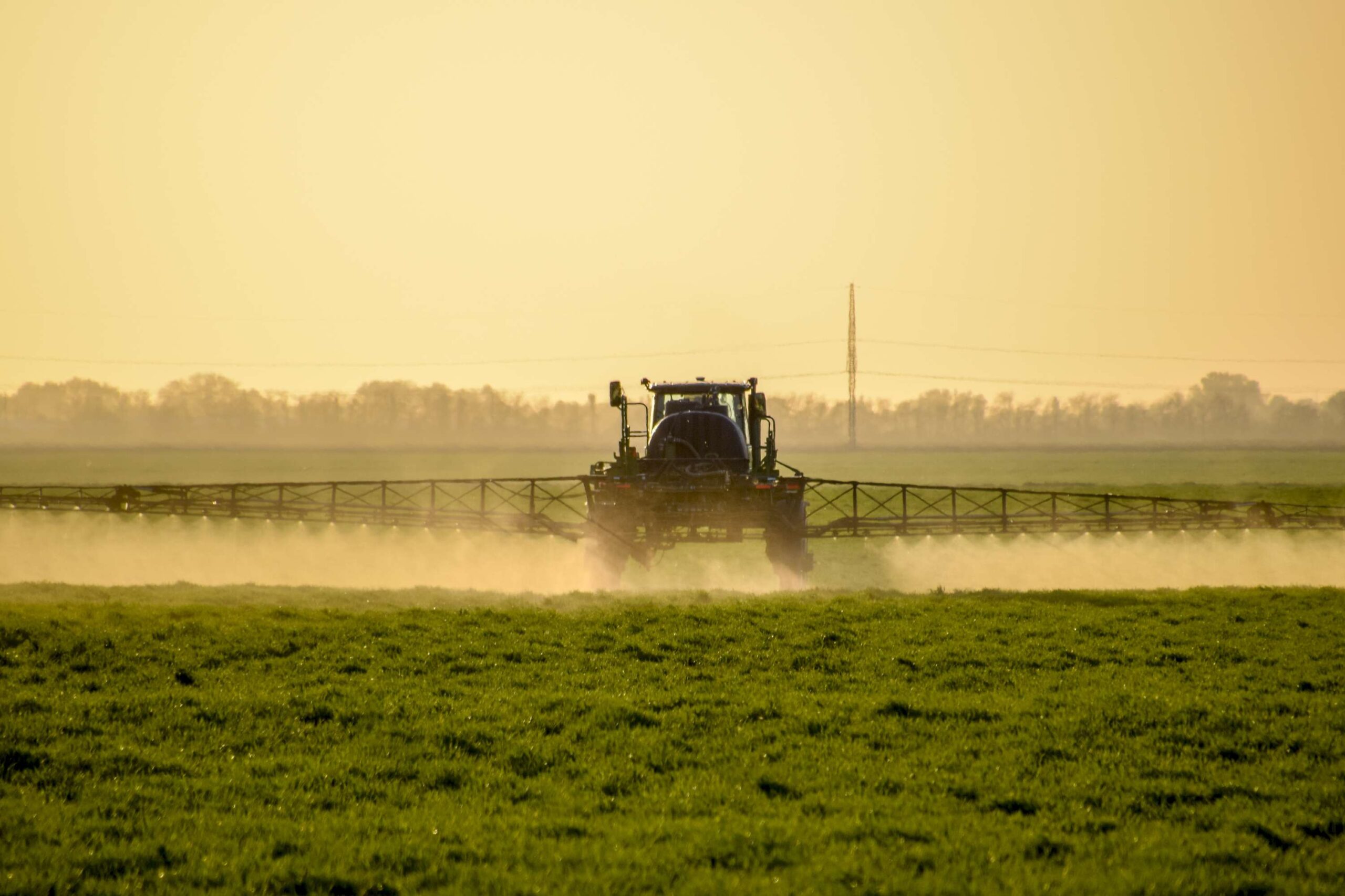how much glyphosate is in round up