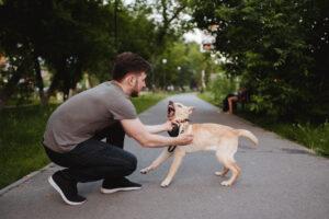 Dog with owner 002